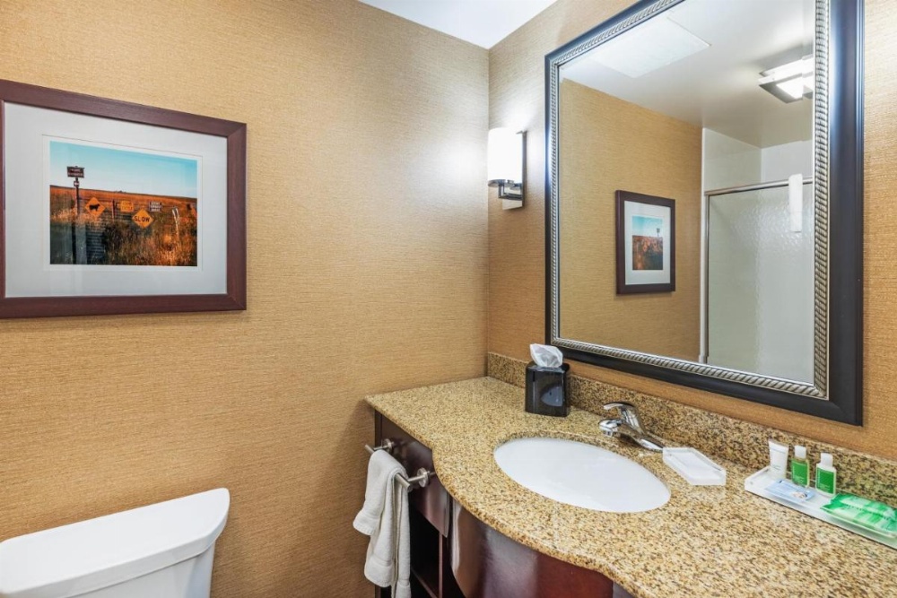 Holiday Inn Ardmore Convention Center Image 13
