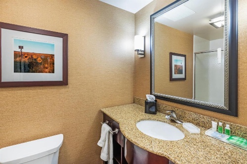 Holiday Inn Ardmore Convention Center image 13